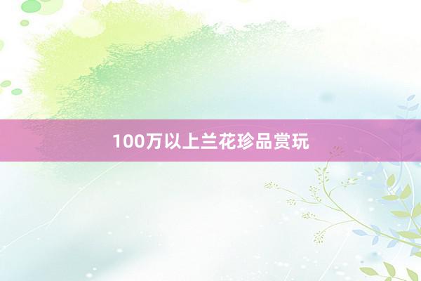 100万以上兰花珍品赏玩
