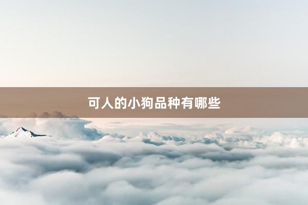 可人的小狗品种有哪些